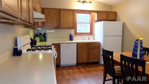 204 Warrior Way, Germantown Hills, IL 61548 photo 9
