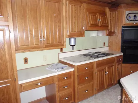 113 Castle Dr, Dunlap, IL 61525 photo 4