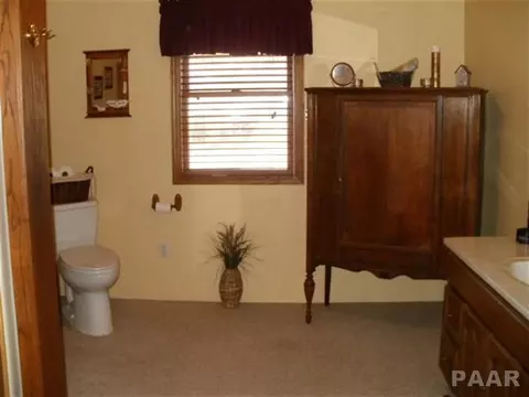 104 E Main, Cuba, IL 61427 photo 14