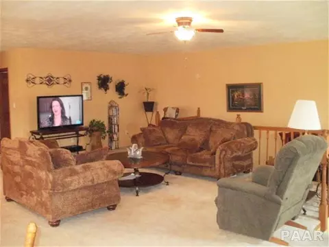 104 E Main, Cuba, IL 61427 photo 7