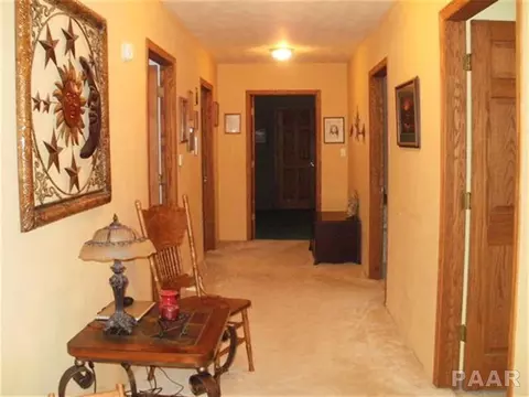 104 E Main, Cuba, IL 61427 photo 16