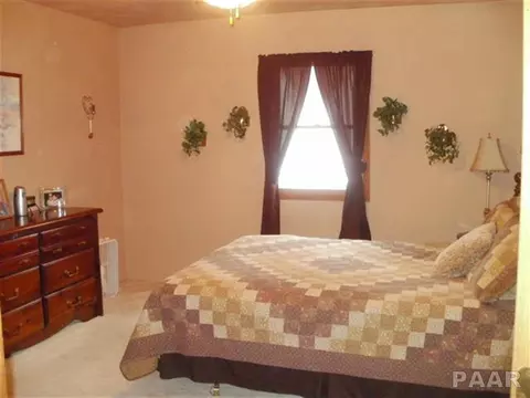 104 E Main, Cuba, IL 61427 photo 12