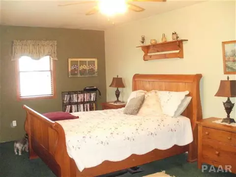104 E Main, Cuba, IL 61427 photo 10