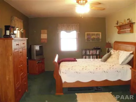 104 E Main, Cuba, IL 61427 photo 11