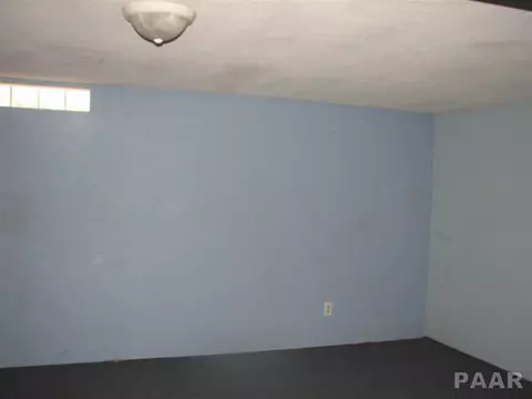 201 E South, Manito, IL 61546 photo 15