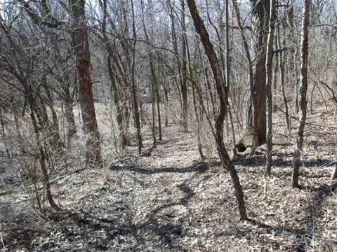 16921 County Road 2400 E, Atkinson, IL 61235 photo 1