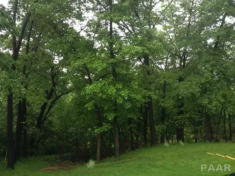 7114 S Ridgebrook Dr, Mapleton, IL 61547 photo 30