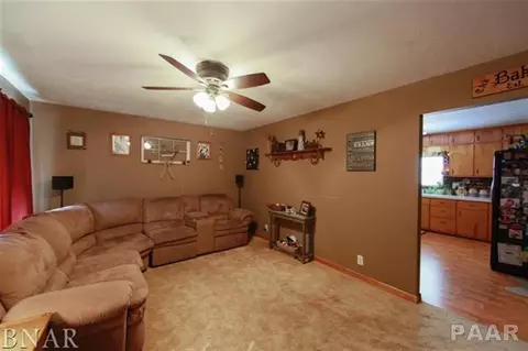 211 Brookside, Minier, IL 61759 photo 3