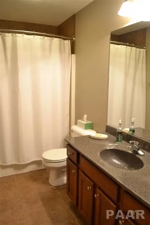 11622 N Dunmore Dr, Dunlap, IL 61525 photo 18