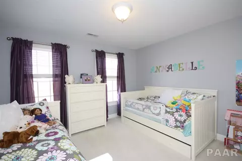 11209 N Jason Dr, Dunlap, IL 61525 photo 22