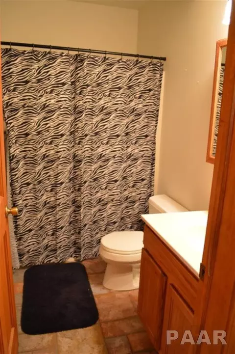 207 Windsor, Germantown Hills, IL 61548 photo 23