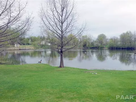 15473 E Geronimo, Cuba, IL 61427 photo 32