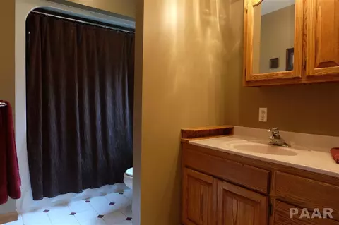 877 County Road 2000 E, Varna, IL 61375 photo 7