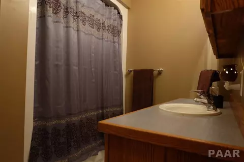 877 County Road 2000 E, Varna, IL 61375 photo 14