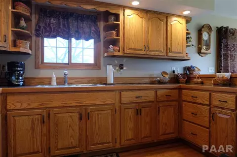 877 County Road 2000 E, Varna, IL 61375 photo 11