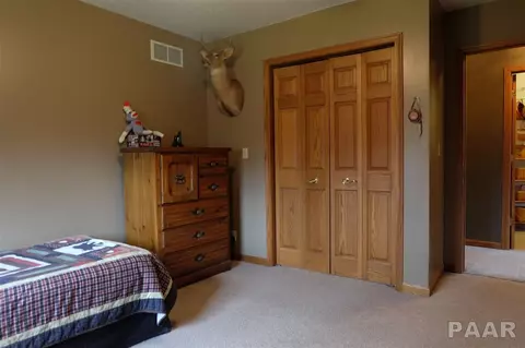 877 County Road 2000 E, Varna, IL 61375 photo 20