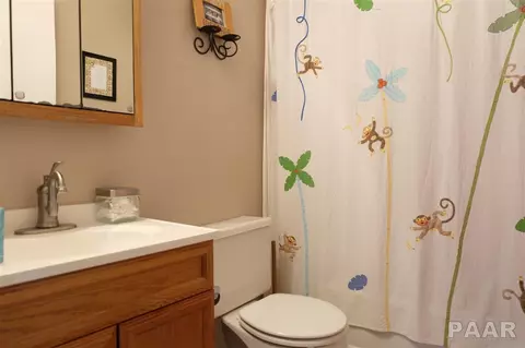209 Algonquin, Marquette Heights, IL 61554 photo 17