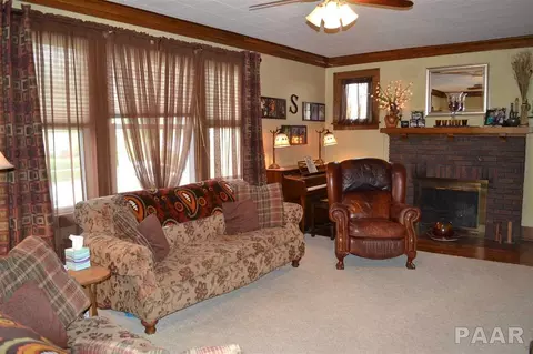 602 E 3rd St, Delavan, IL 61734 photo 6