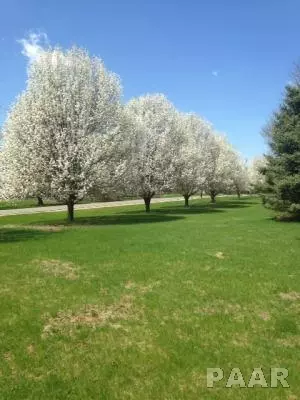 274 Wildridge, Metamora, IL 61548 photo 10