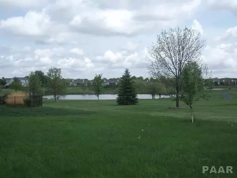 1817 Meadowview, Dunlap, IL 61525 photo 20