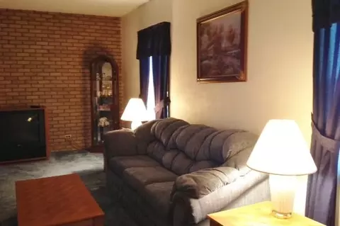112 Pieper Cir, Delavan, IL 61734 photo 11