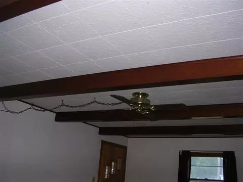 1032 E Locust, Canton, IL 61520 photo 5