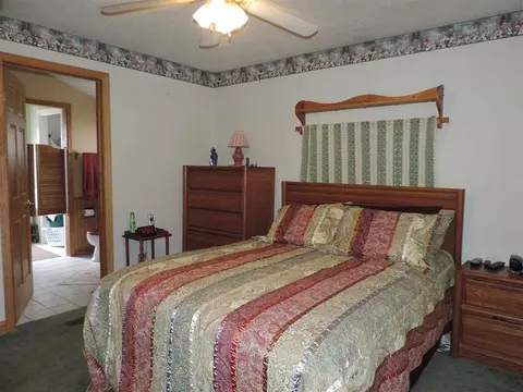 606 E 3rd St, Glasford, IL 61533 photo 9