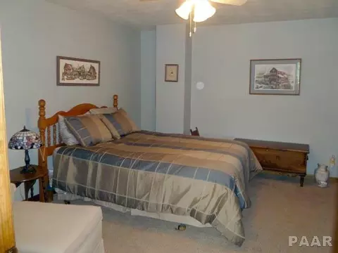 4313 Banbury Cv, Mapleton, IL 61547 photo 13