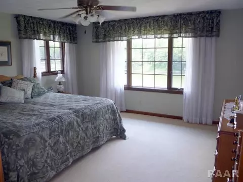4313 Banbury Cv, Mapleton, IL 61547 photo 12