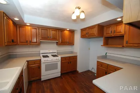 4307 S Lake Camelot Dr, Mapleton, IL 61547 photo 7