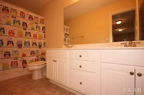 706 S Prairieview Dr, Dunlap, IL 61525 photo 29