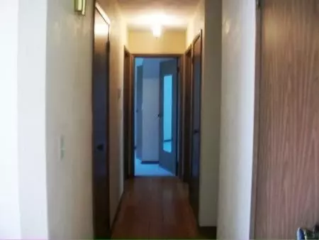 1475 E Locust, Canton, IL 61520 photo 17