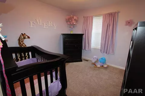9605 W Lake Camelot Dr, Mapleton, IL 61547 photo 15
