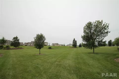 504 Windsor Dr, Germantown Hills, IL 61548 photo 31