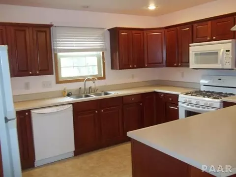 590 County Road 1625 E, Congerville, IL 61729 photo 7