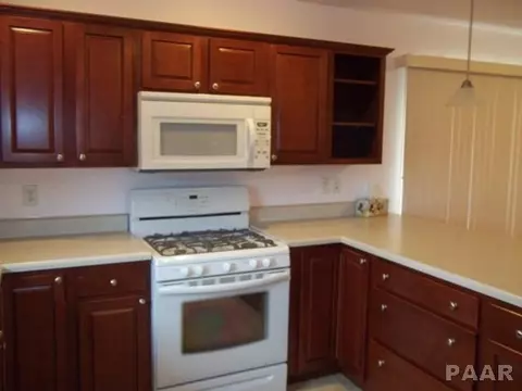 590 County Road 1625 E, Congerville, IL 61729 photo 10