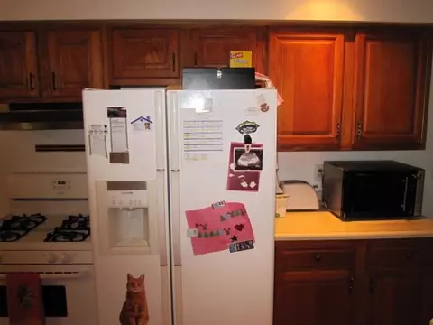 415 E Walnut, Metamora, IL 61548 photo 14