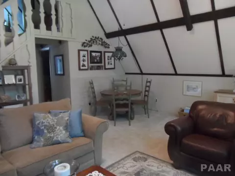 1355 N Forrest Dr, Germantown Hills, IL 61548 photo 6