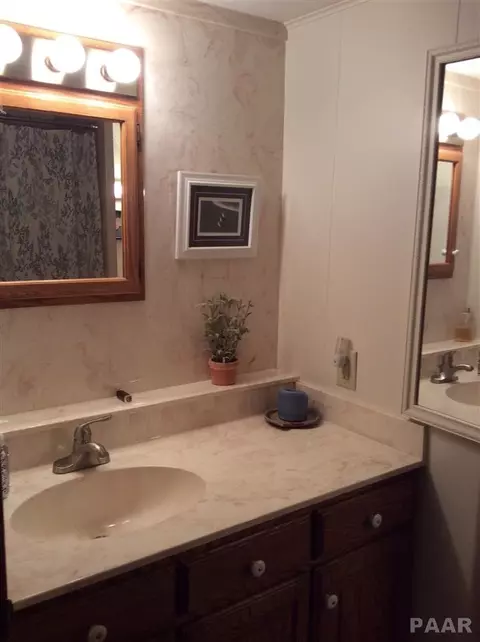 1355 N Forrest Dr, Germantown Hills, IL 61548 photo 15