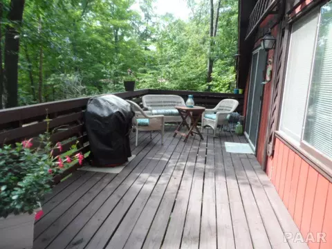 1355 N Forrest Dr, Germantown Hills, IL 61548 photo 21