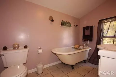 1210 Mckinley, Lowpoint, IL 61545 photo 22