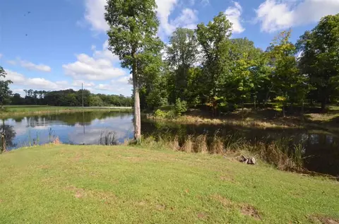 7632 E Fickle Rd, Smithfield, IL 61477 photo 31
