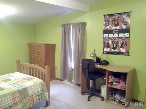 1944 E Chestnut, Canton, IL 61520 photo 23