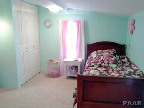 1944 E Chestnut, Canton, IL 61520 photo 21