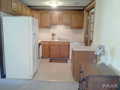 652 E Monroe, Cuba, IL 61427 photo 6