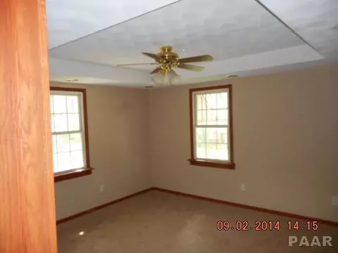 602 E 4th St, Delavan, IL 61734 photo 18