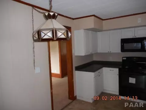 602 E 4th St, Delavan, IL 61734 photo 8