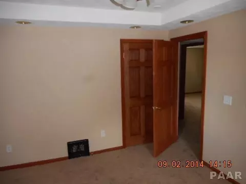 602 E 4th St, Delavan, IL 61734 photo 17