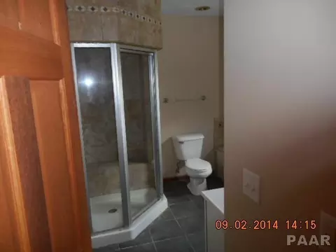 602 E 4th St, Delavan, IL 61734 photo 20