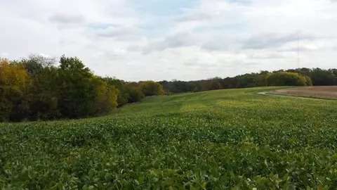409 County Highway 8, Congerville, IL 61729 photo 28